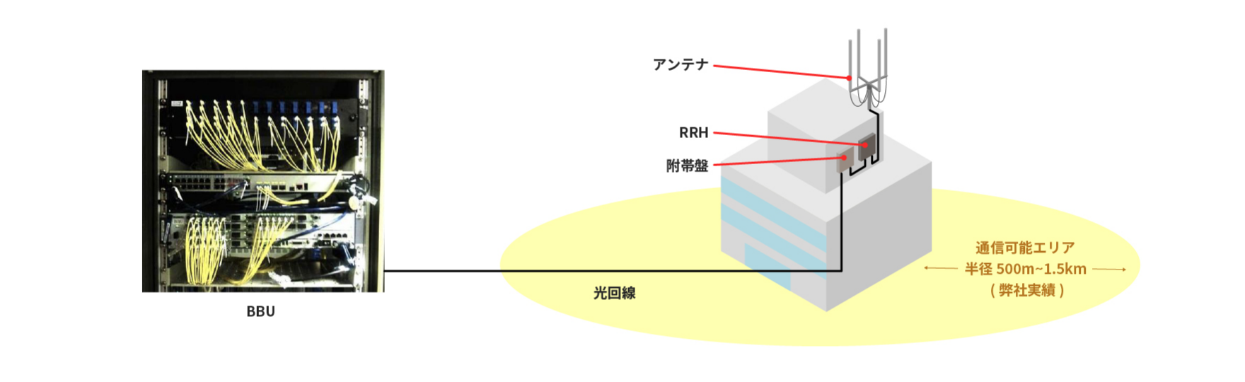 全体構成
